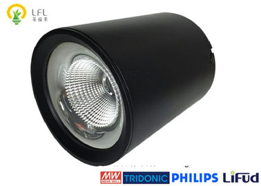 120 lm / W 30W czarne lampy sufitowe LED z odlewanym aluminium